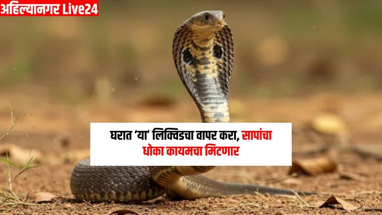 Snake Viral News