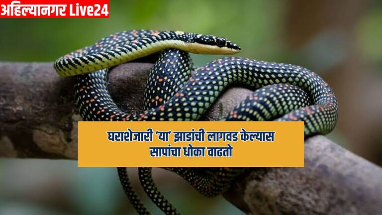 Snake Viral News