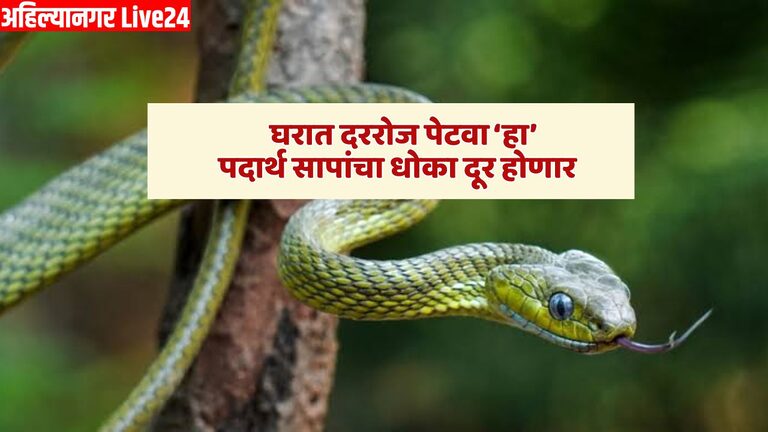 Snake Viral News