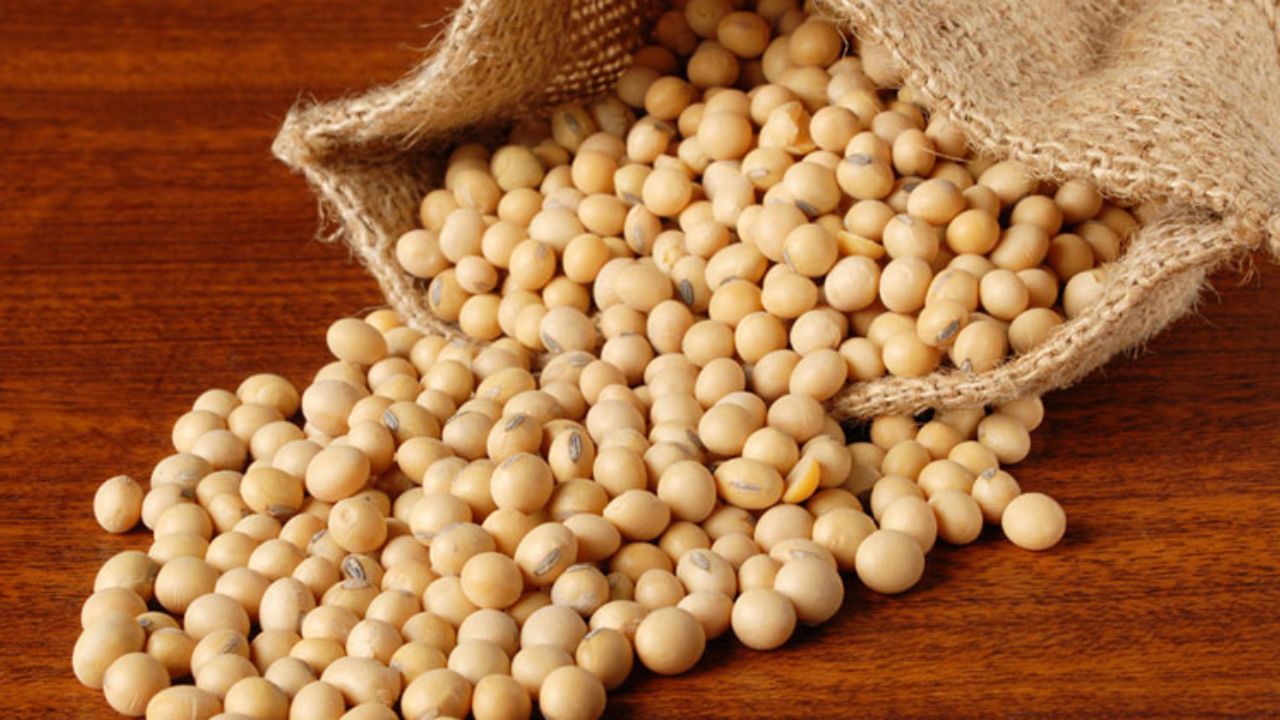Soybean Rate