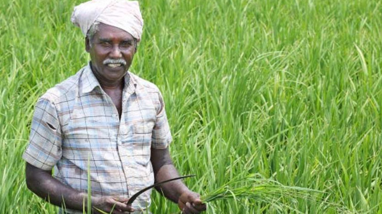 Agriculture News