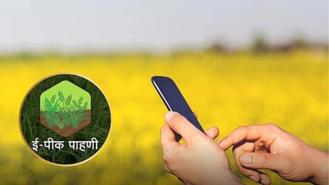 Maharashtra Agriculture News