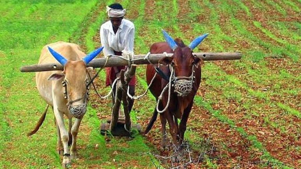 Maharashtra Cabinet Decision