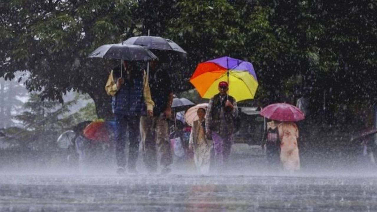 Monsoon News