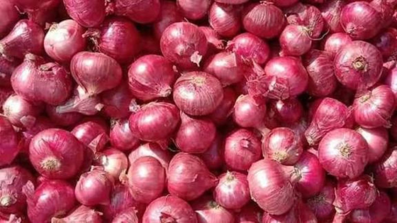 Onion Rate