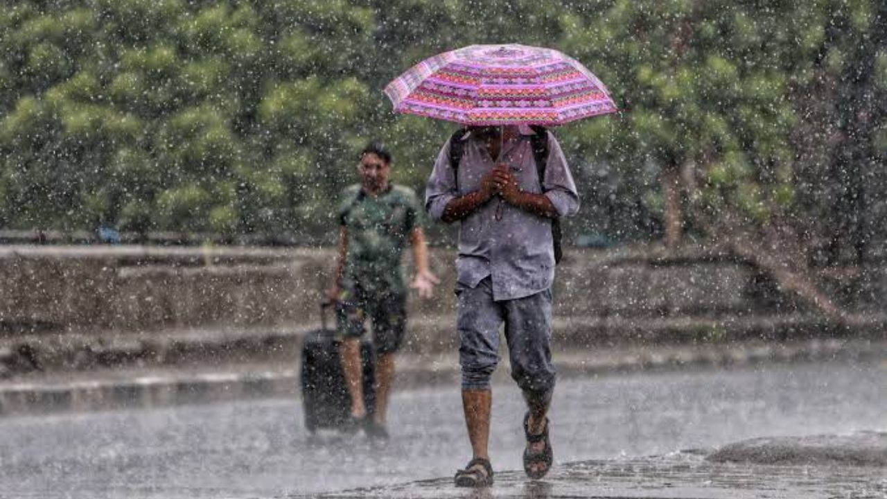 Rain Alert