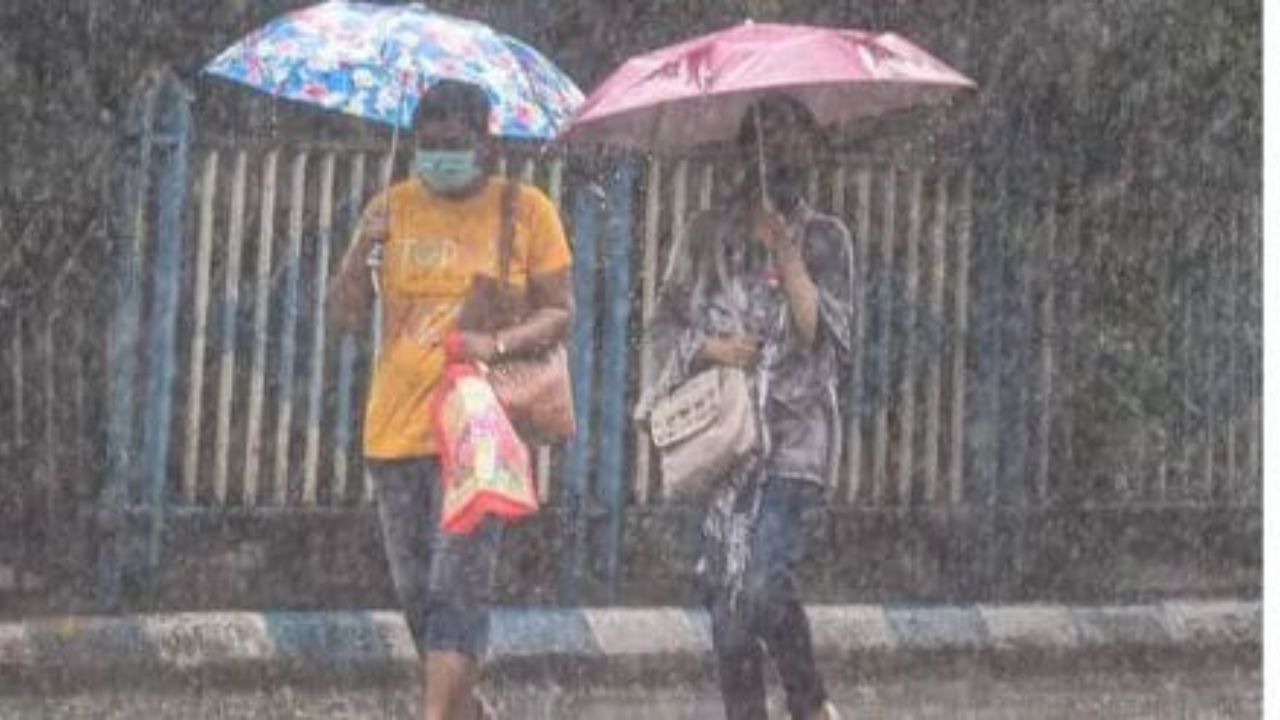 Maharashtra Rain