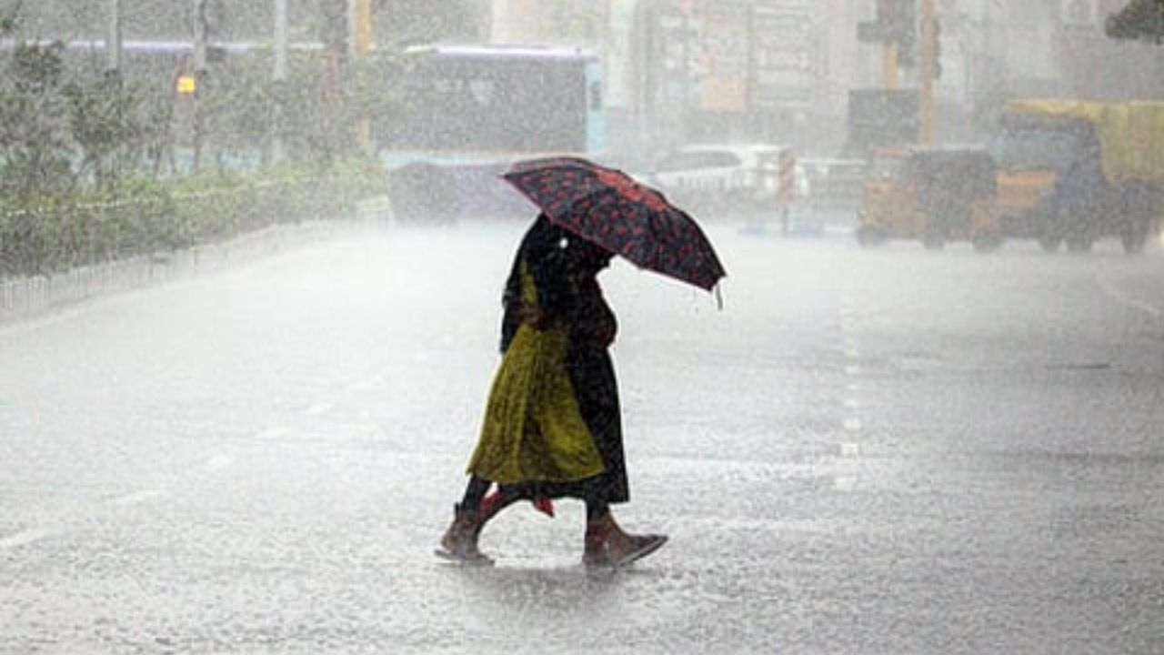 Rain Alert