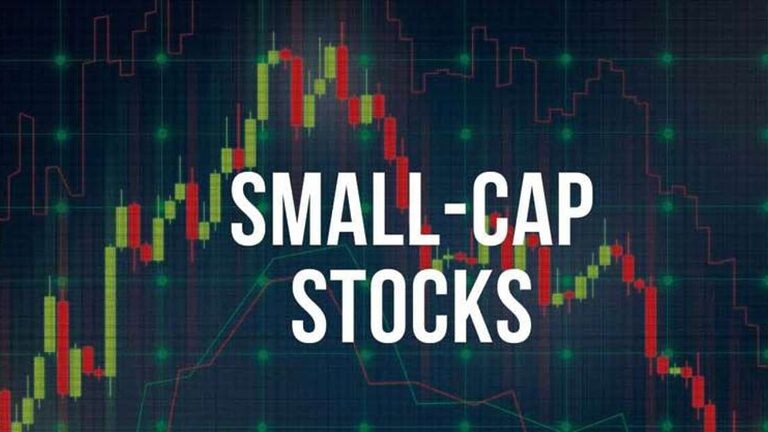 Small Cap Company
