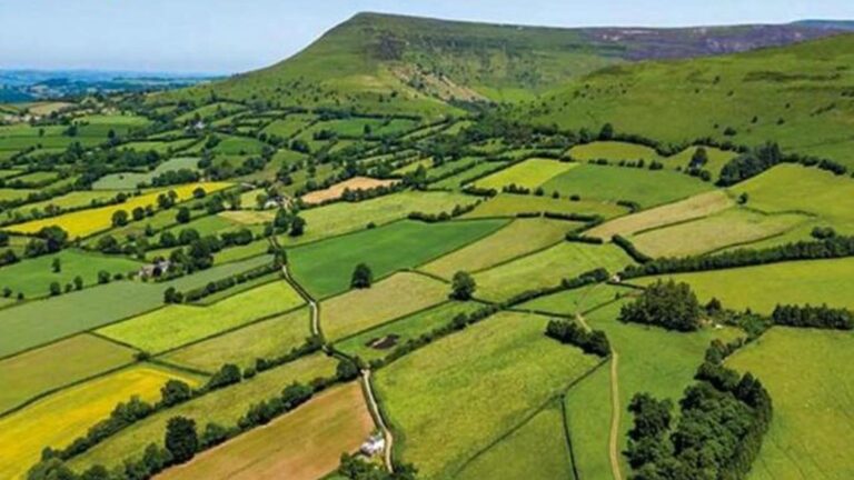 Maharashtra Jamin News