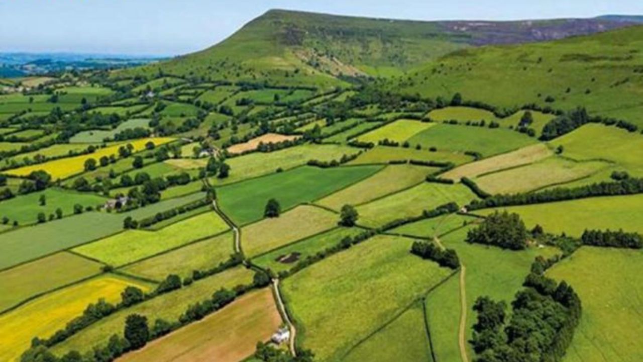 Maharashtra Jamin News