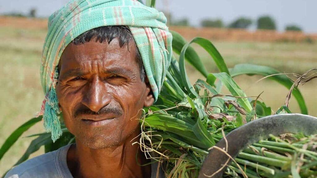 Maharashtra Farmer Loan Waiver