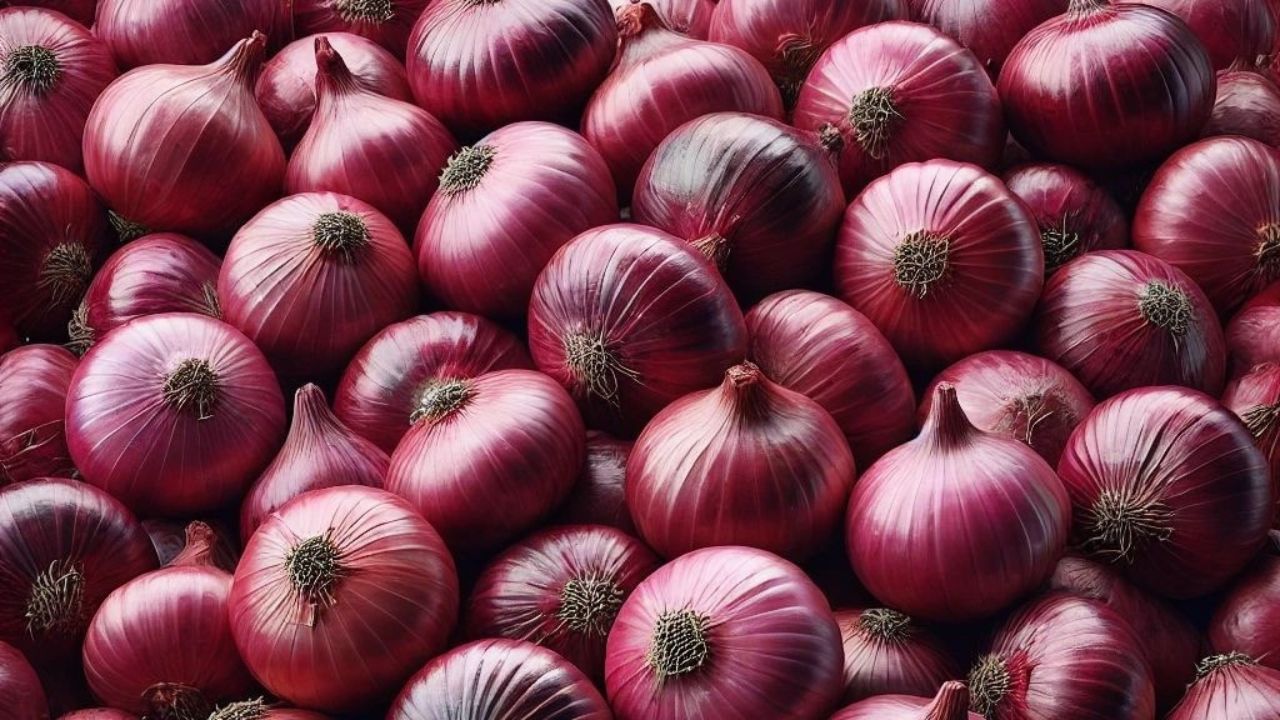 Onion Rate