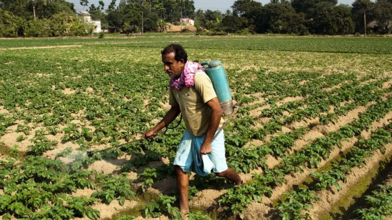 Farmer Scheme