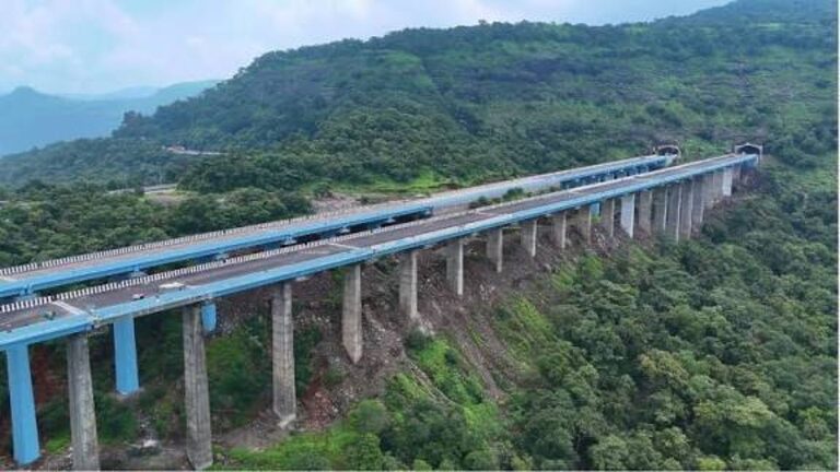 Missing Link Project