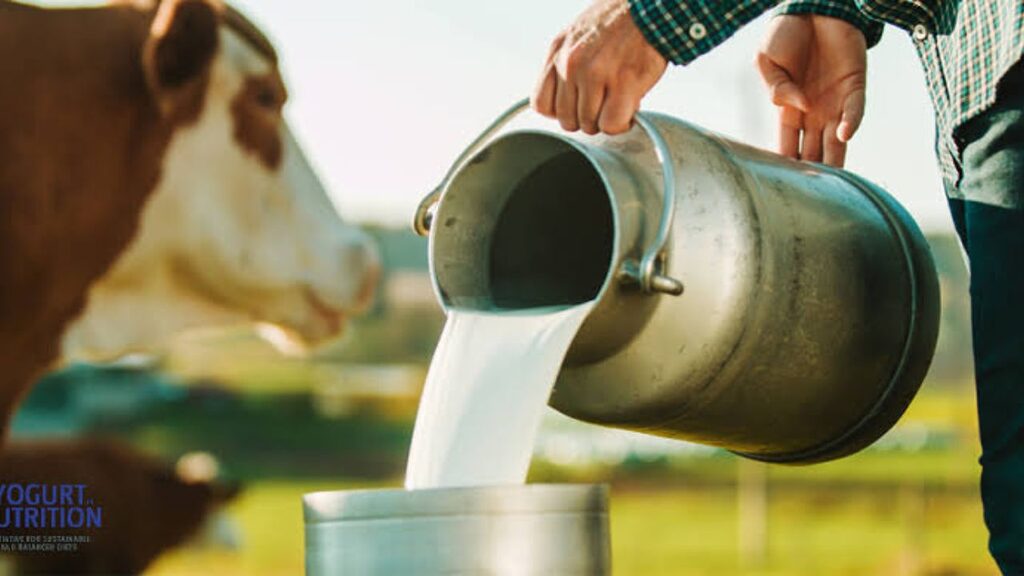 Dairy Farming